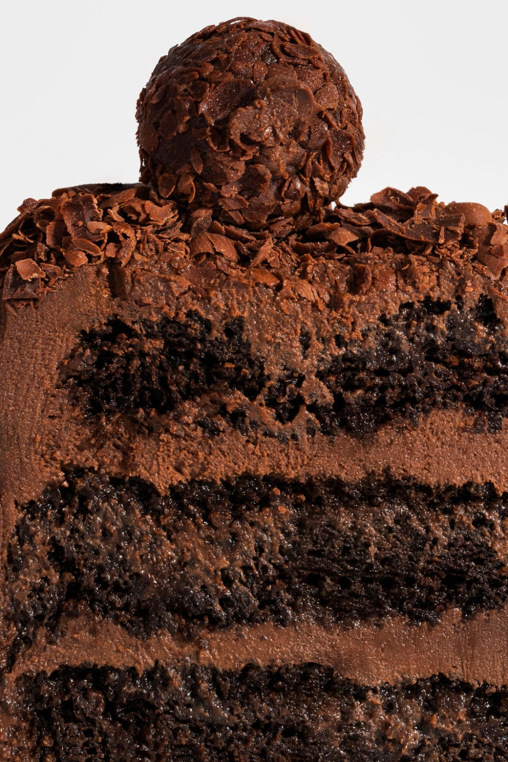 Acercamiento de un trozo de torta de chocolate.